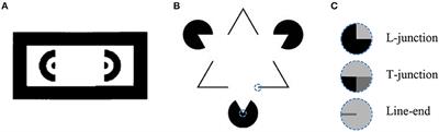 Predicting Illusory Contours Without Extracting Special Image Features